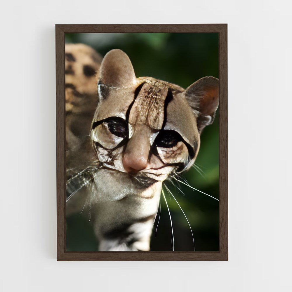 ap-ocelot-4 cadre Bois foncé