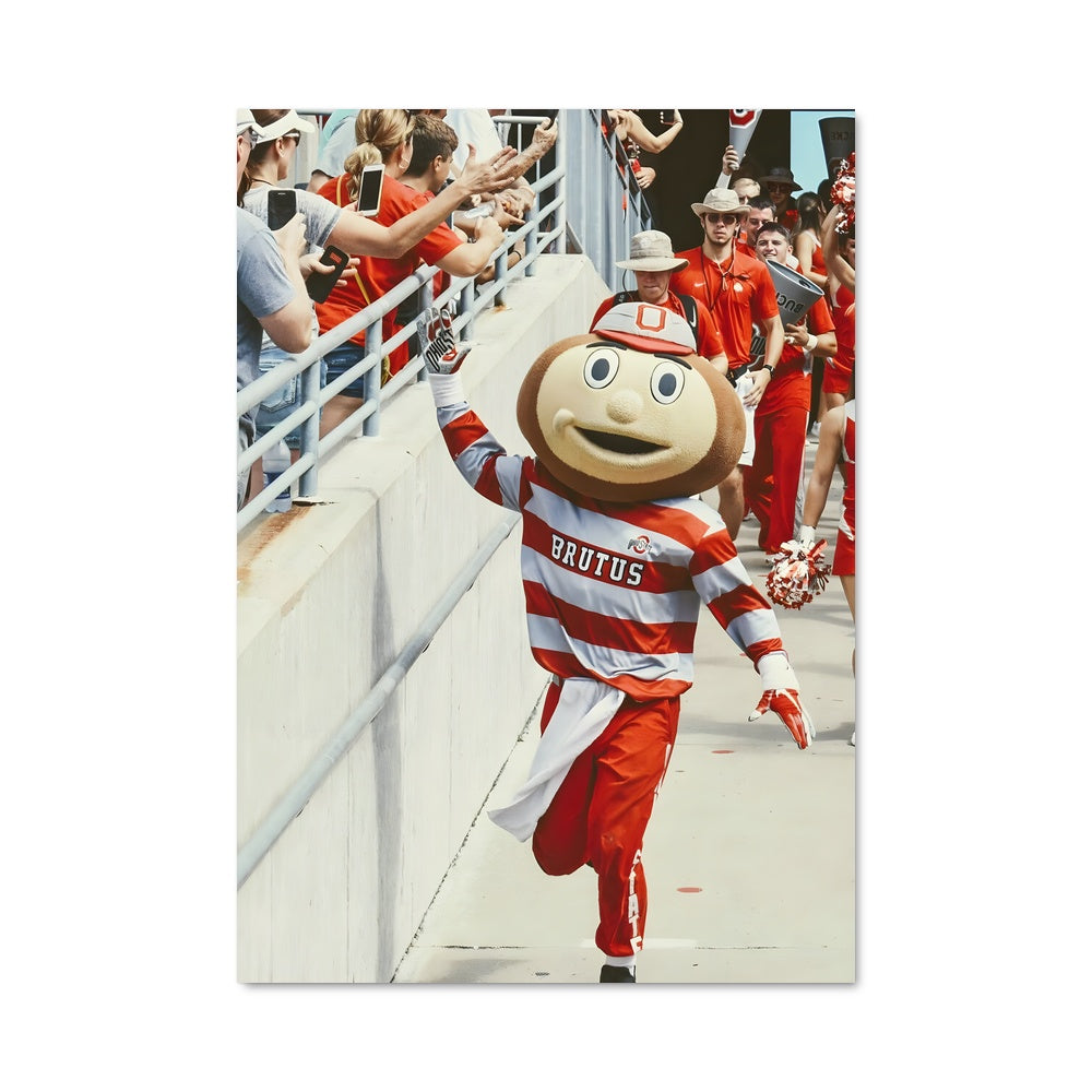 Poster Buckeyes en Folie