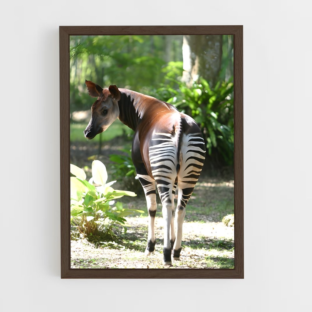 ap-okapi wildlife reserve-1 cadre Bois foncé