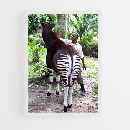 ap-okapi wildlife reserve-3 cadre Blanc