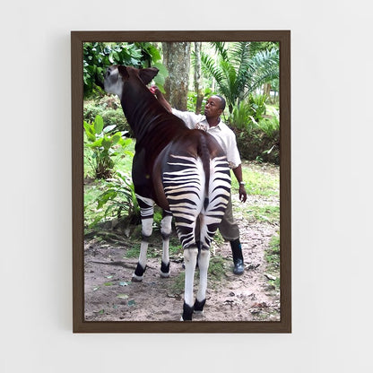 ap-okapi wildlife reserve-3 cadre Bois foncé