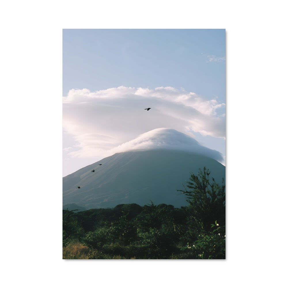 Poster L'Oiseau et la Montagne