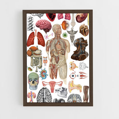 ap-organs-6 cadre Bois foncé
