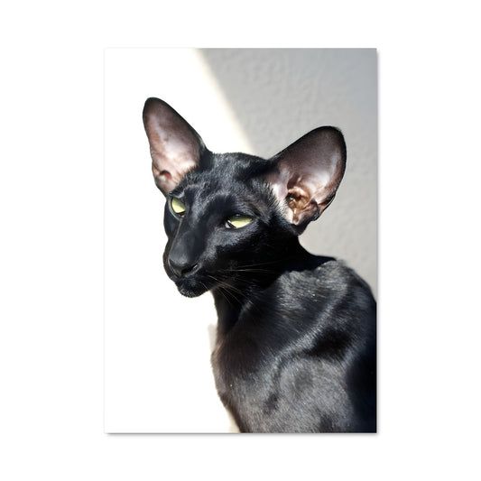 Poster Mystère dans l'Obscurité