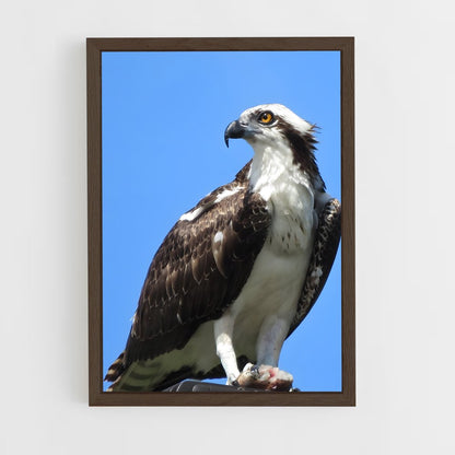 ap-osprey-5 cadre Bois foncé
