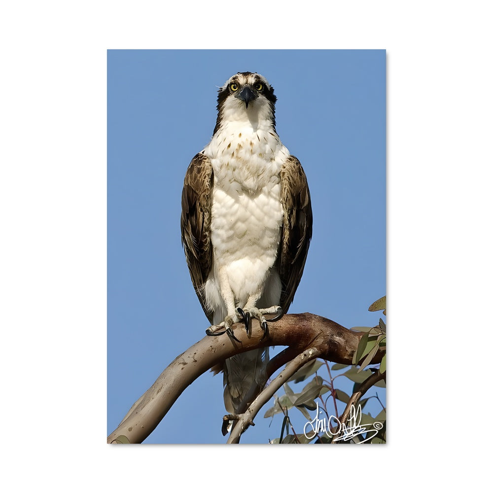 Poster La Garde du Ciel