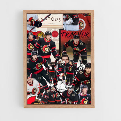 ap-ottawa senators-3 cadre Bois clair