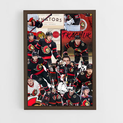 ap-ottawa senators-3 cadre Bois foncé