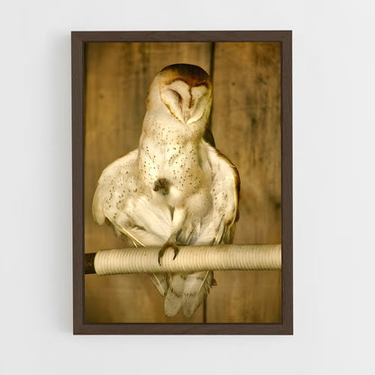 ap-owl-13 cadre Bois foncé