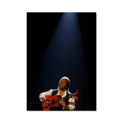 Poster Flamenco en Émotion