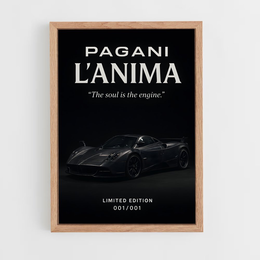 ap-pagani-11 cadre Bois clair
