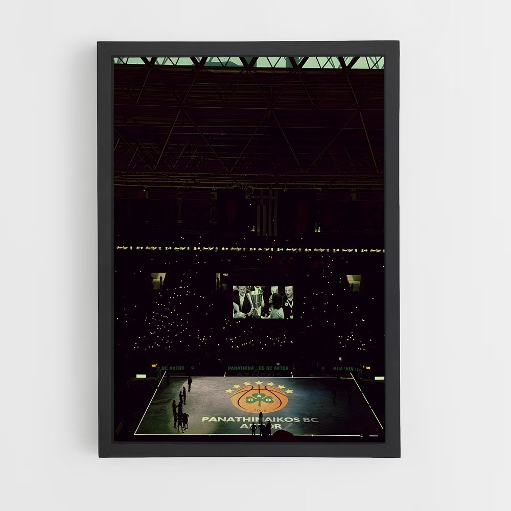ap-panathinaikos basketball-4 cadre Noir