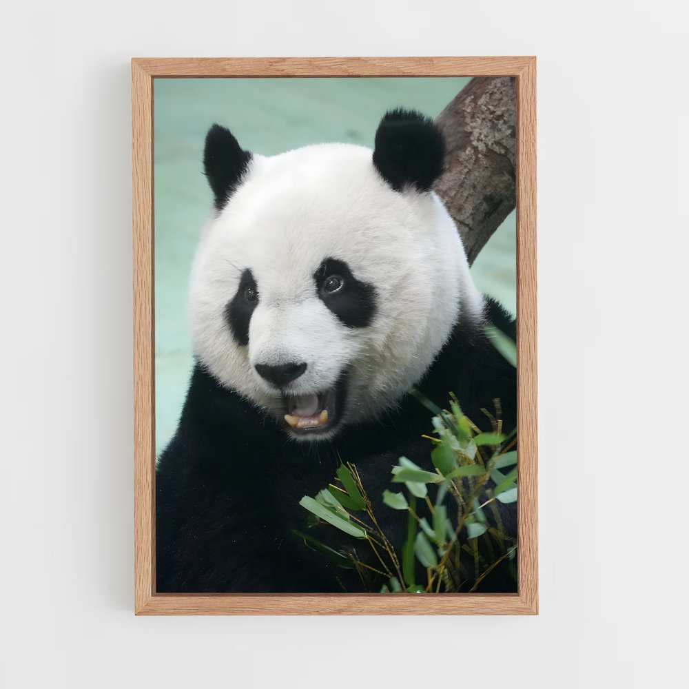 ap-panda-1 cadre Bois clair
