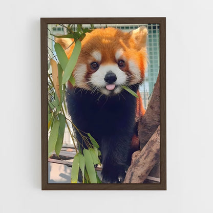 ap-panda-4 cadre Bois foncé