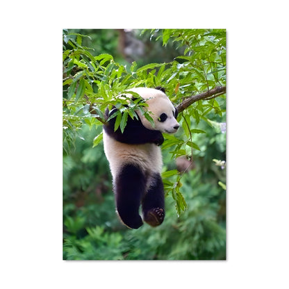Poster Panda Chill