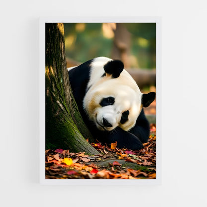 ap-panda-7 cadre Blanc