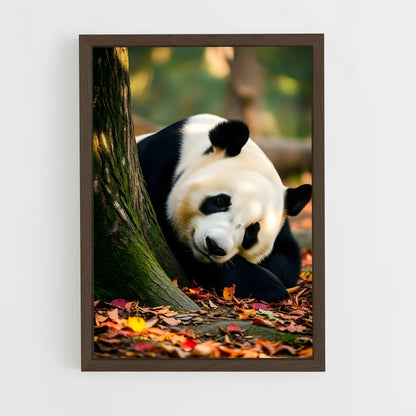 ap-panda-7 cadre Bois foncé