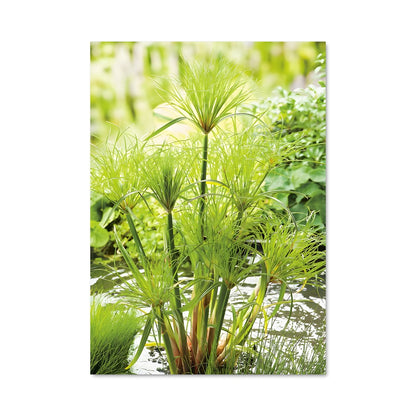 Poster Papyrus 96271