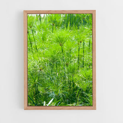 ap-papyrus-4 cadre Bois clair