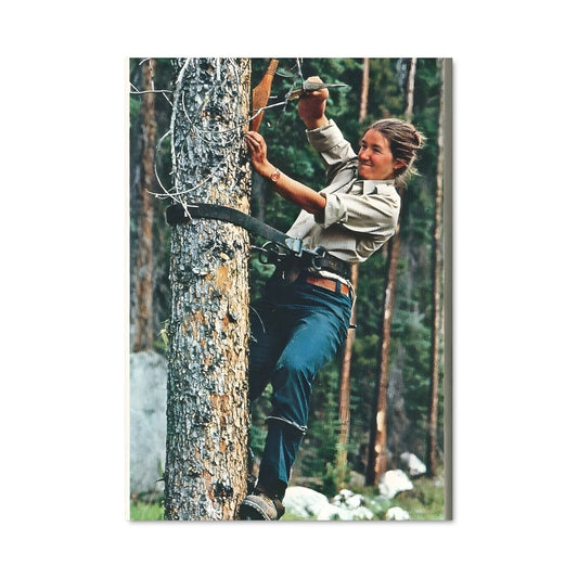 Poster L'Escalade Énergique