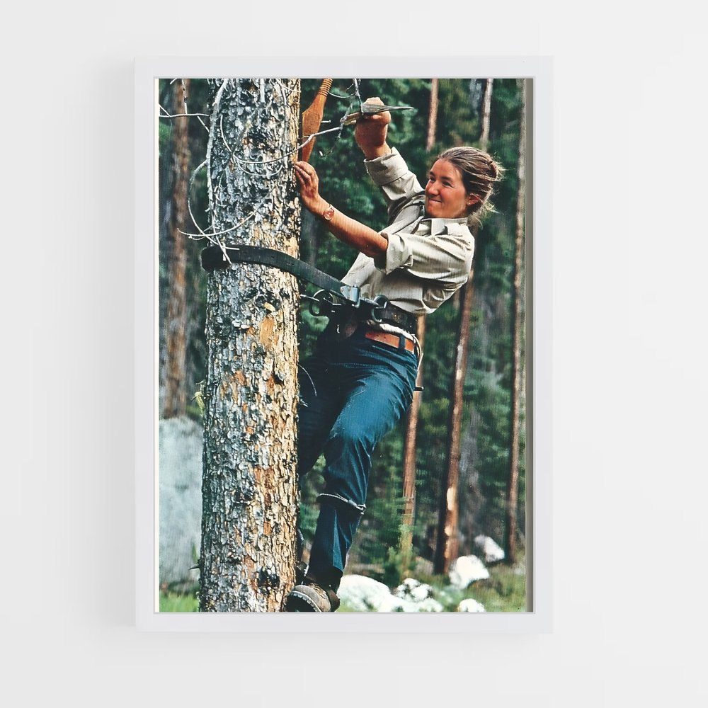 ap-park ranger-4 cadre Blanc
