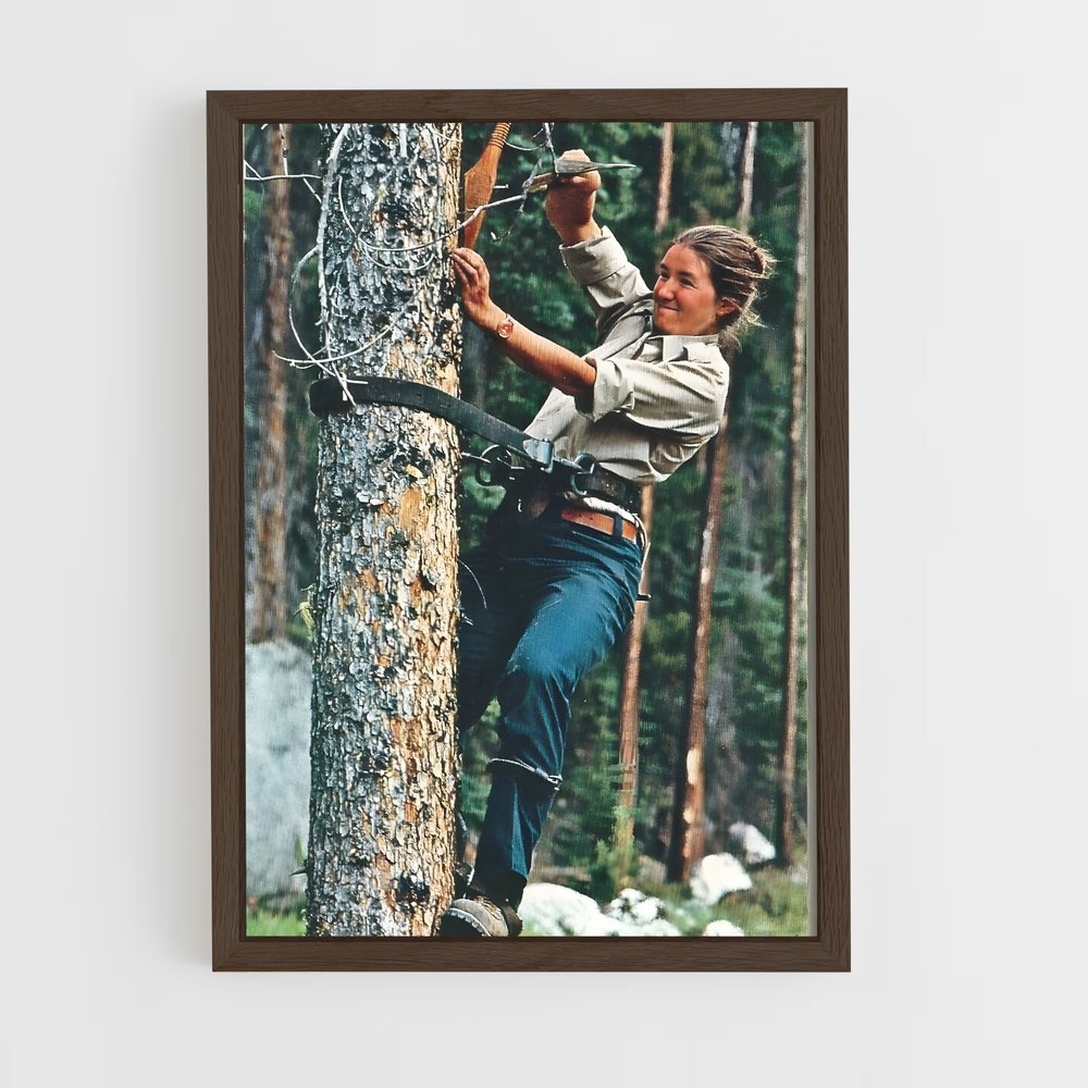 ap-park ranger-4 cadre Bois foncé