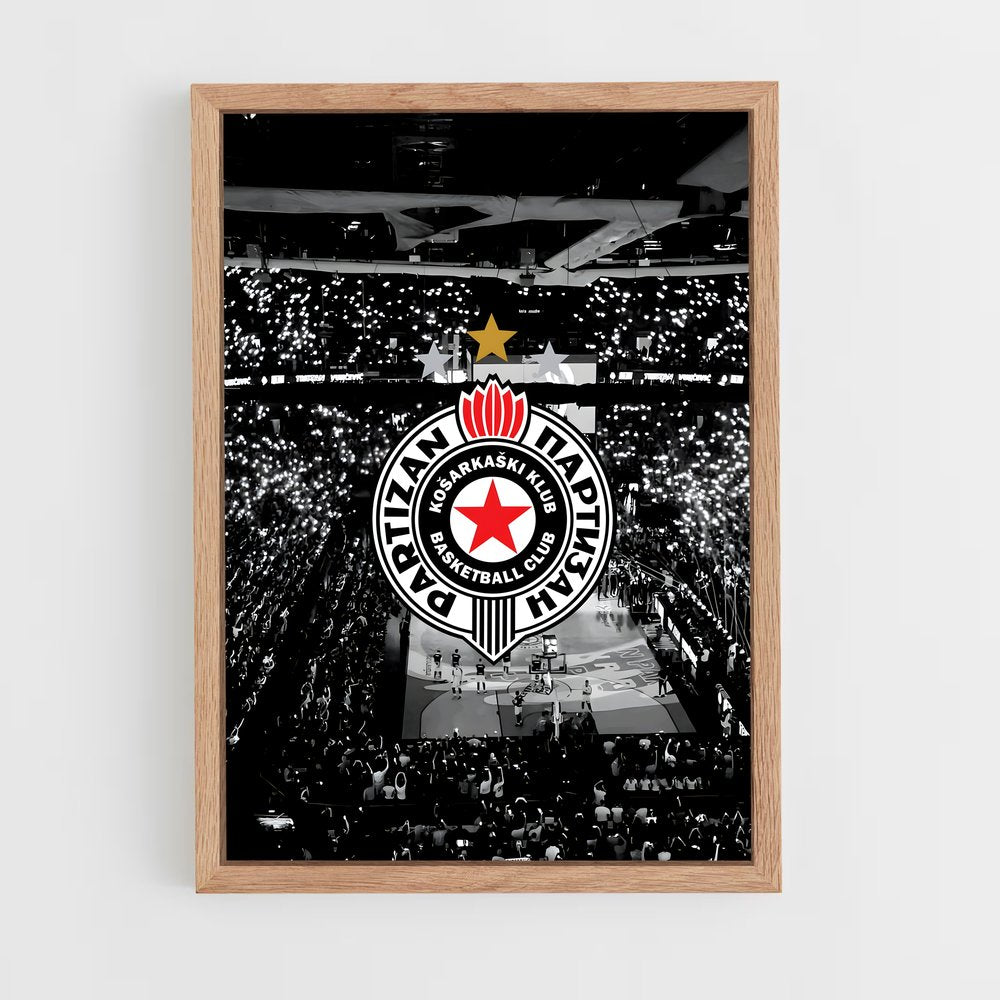 ap-partizan belgrade basketball-7 cadre Bois clair