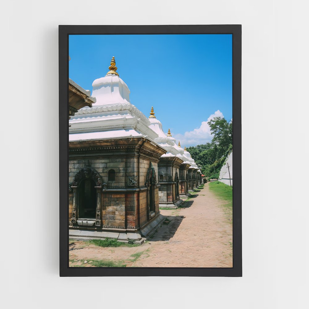 ap-pashupatinath temple-7 cadre Noir