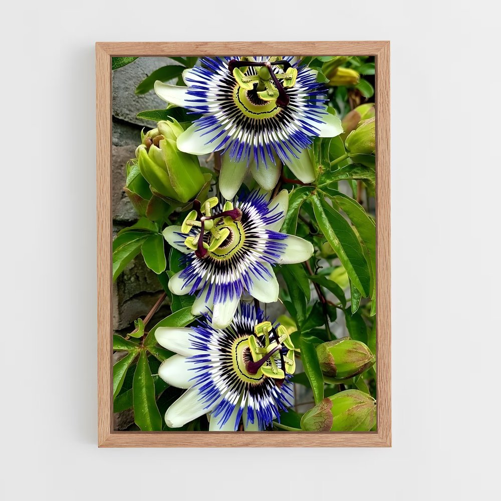 ap-passion flower-2 cadre Bois clair