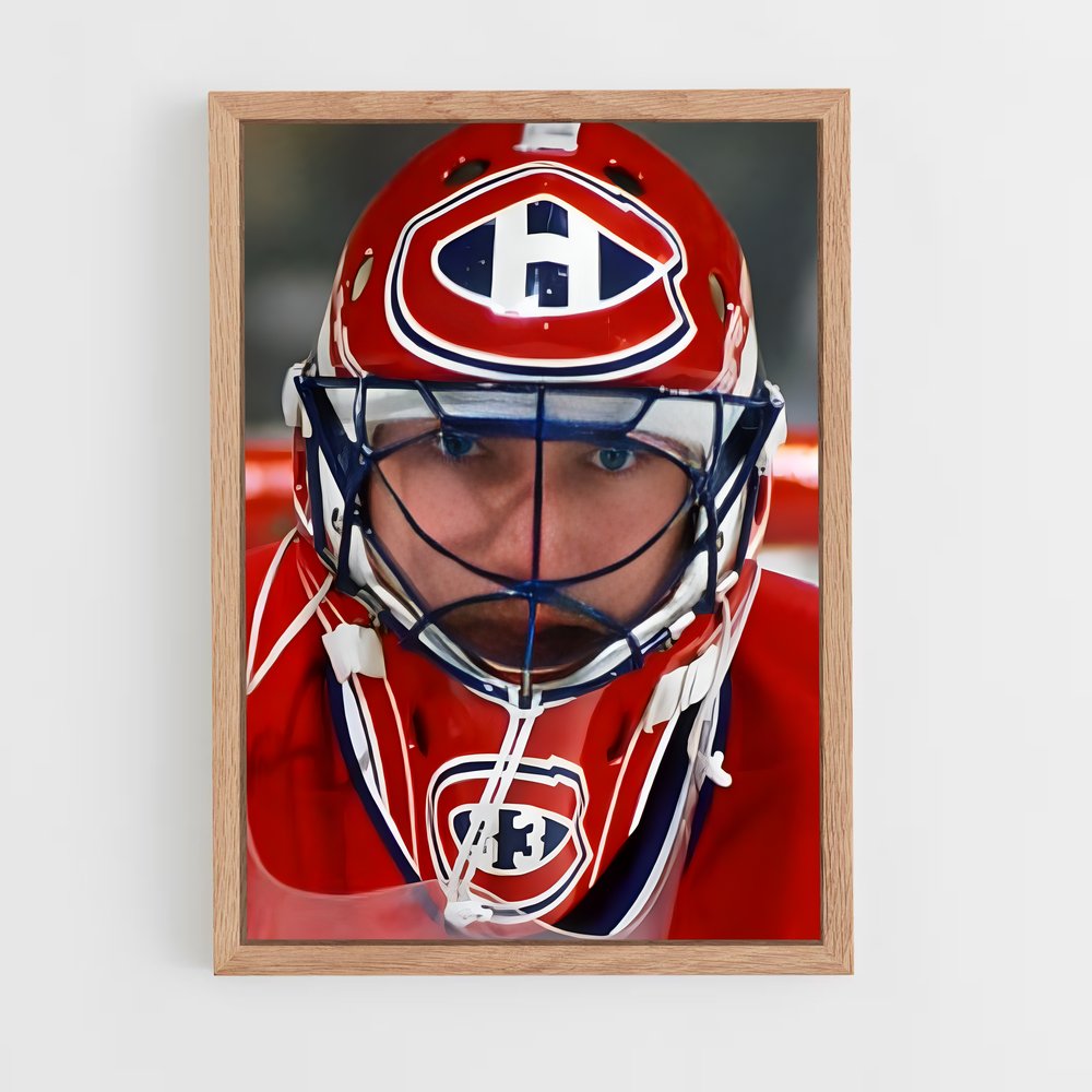 ap-patrick roy-2 cadre Bois clair