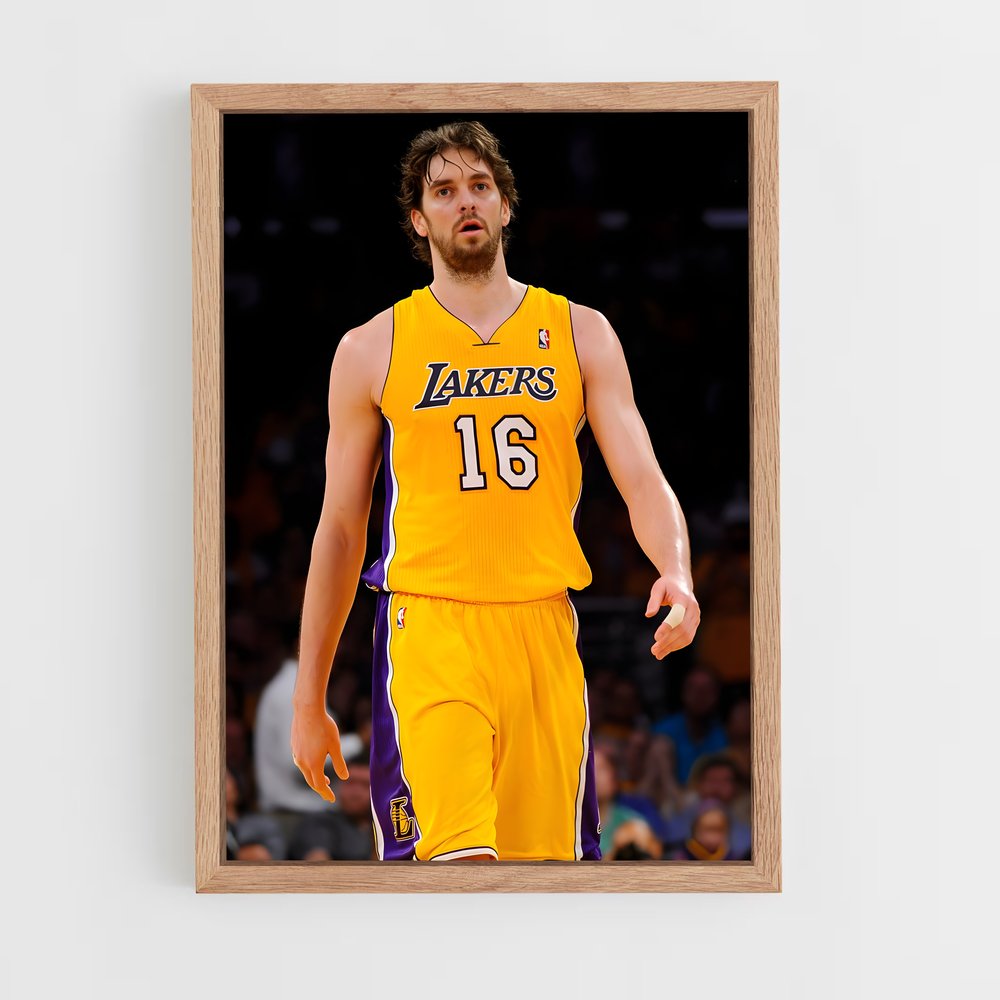ap-pau gasol-3 cadre Bois clair