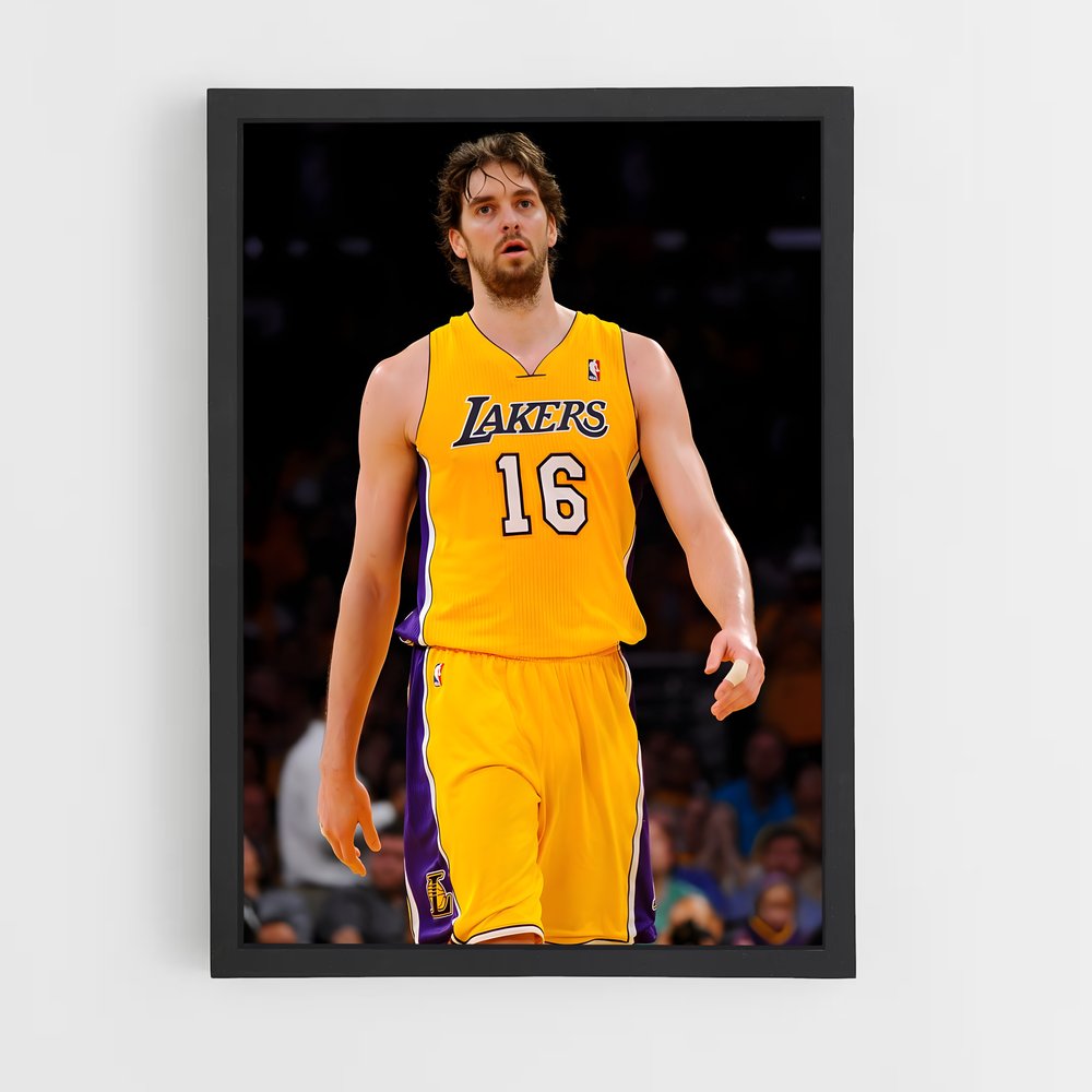 ap-pau gasol-3 cadre Noir