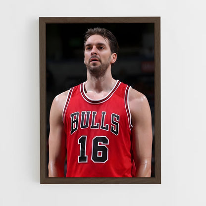 ap-pau gasol-6 cadre Bois foncé