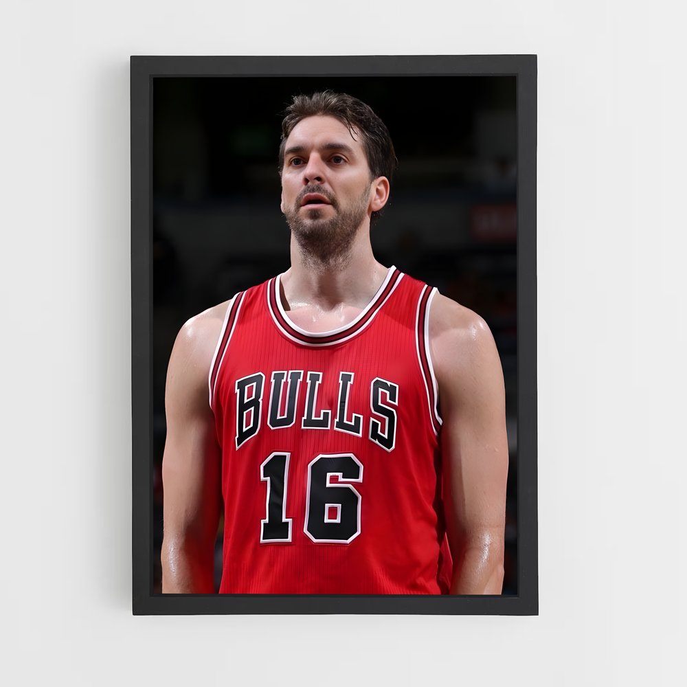 ap-pau gasol-6 cadre Noir