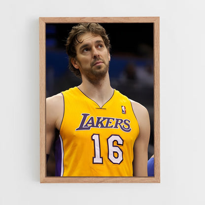 ap-pau gasol-8 cadre Bois clair