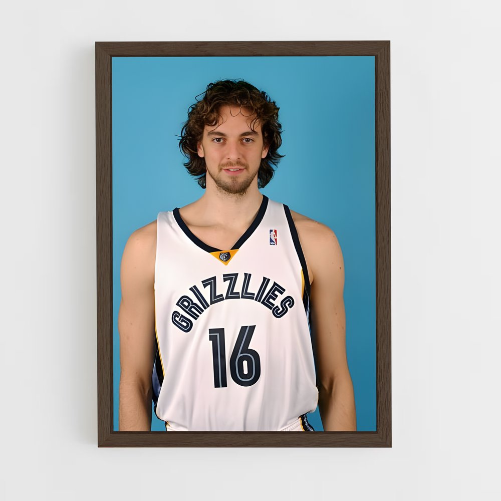 ap-pau gasol-9 cadre Bois foncé