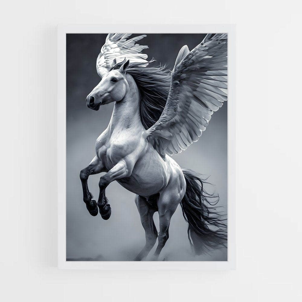ap-pegasus-18 cadre Blanc