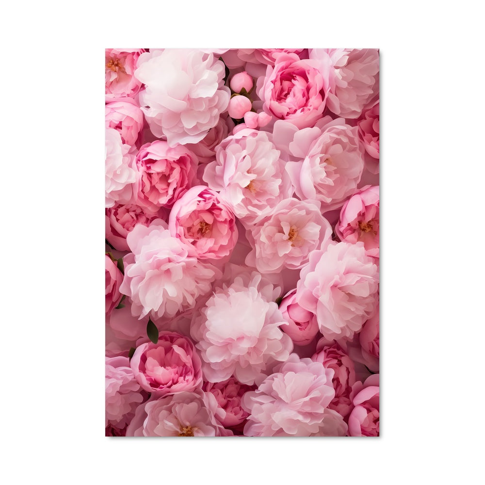 Poster Pétales de Douceur