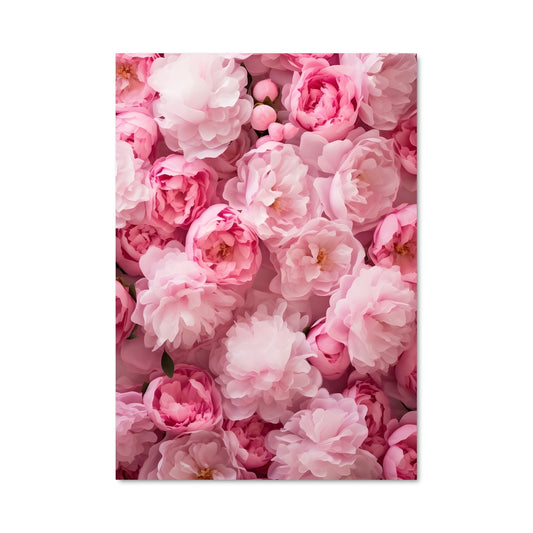 Poster Pétales de Douceur