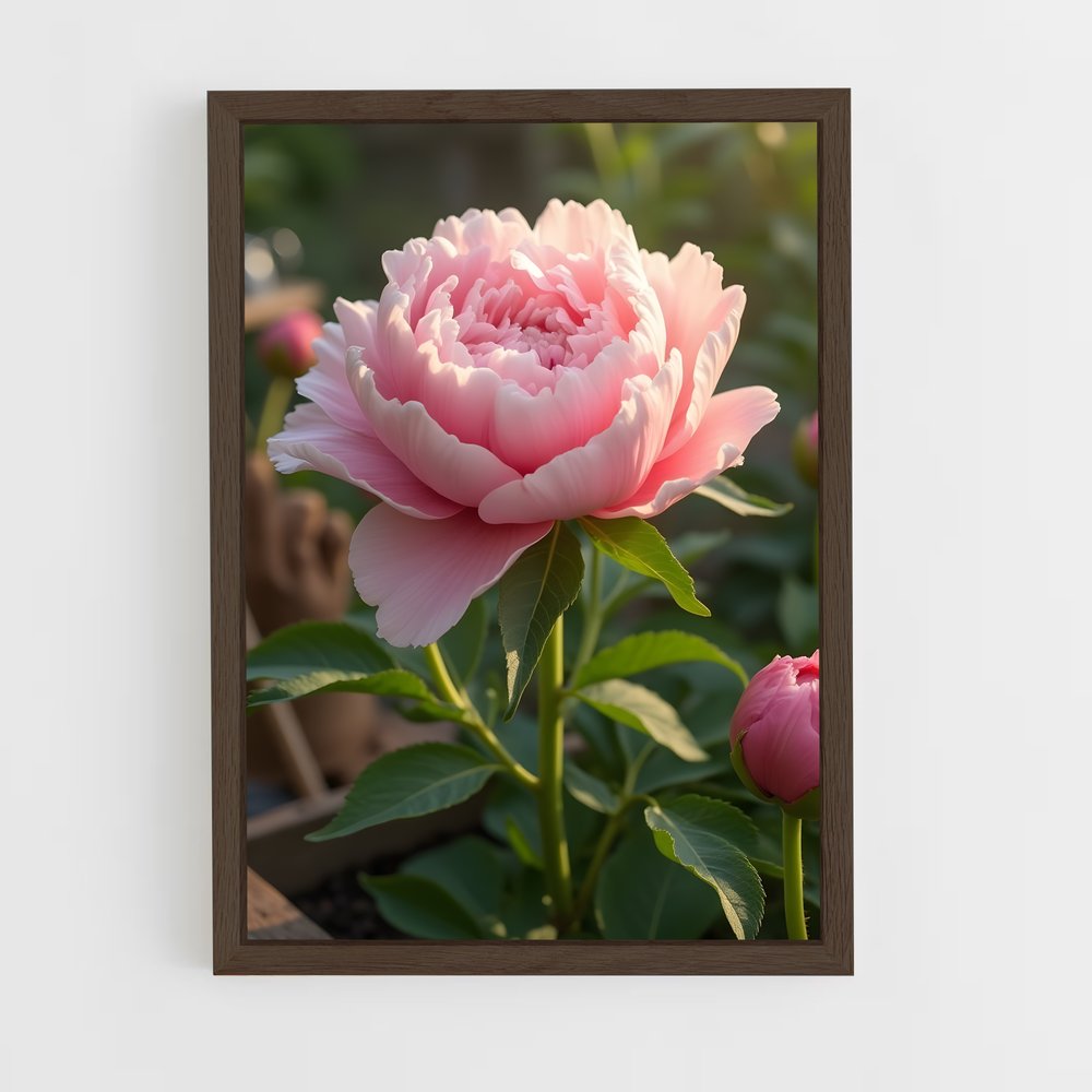 ap-peony-9 cadre Bois foncé