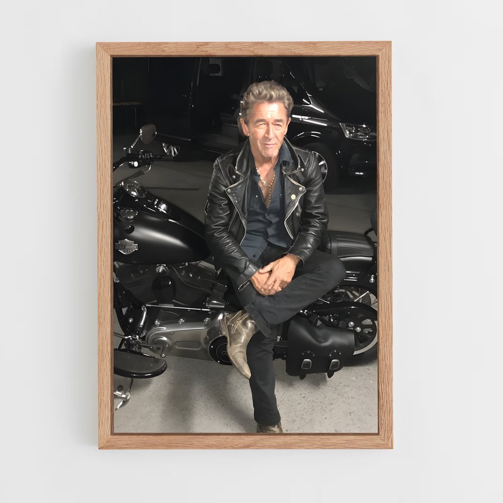 ap-peter maffay-4 cadre Bois clair