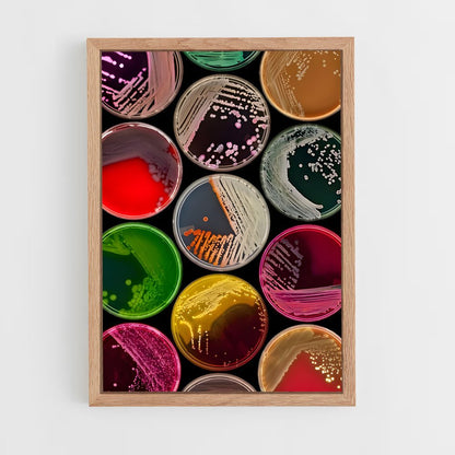 ap-petri dish-2 cadre Bois clair
