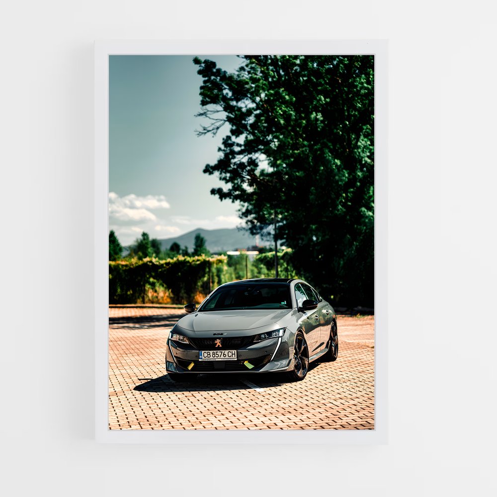 ap-peugeot-3 cadre Blanc