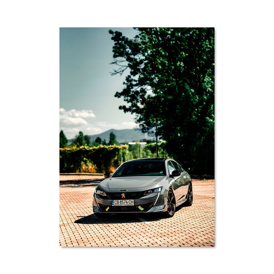 Poster Peugeot sur Brique