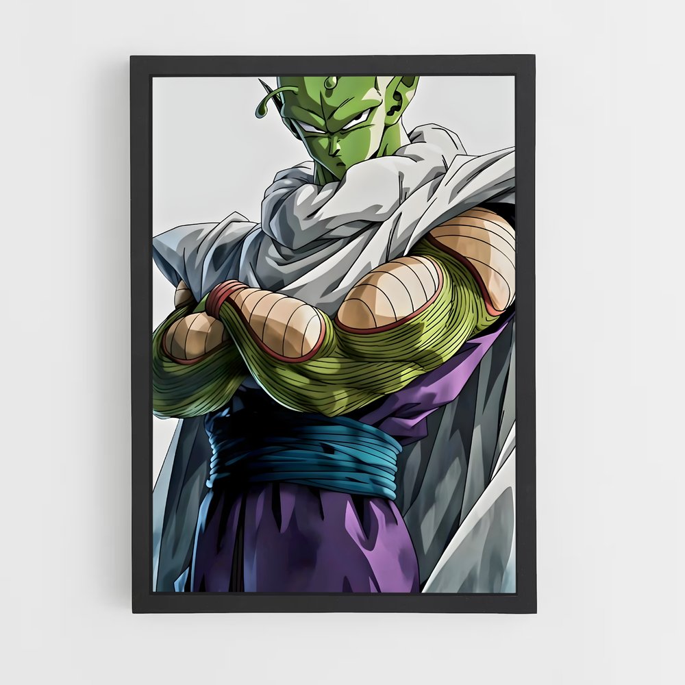 ap-piccolo-2 cadre Noir