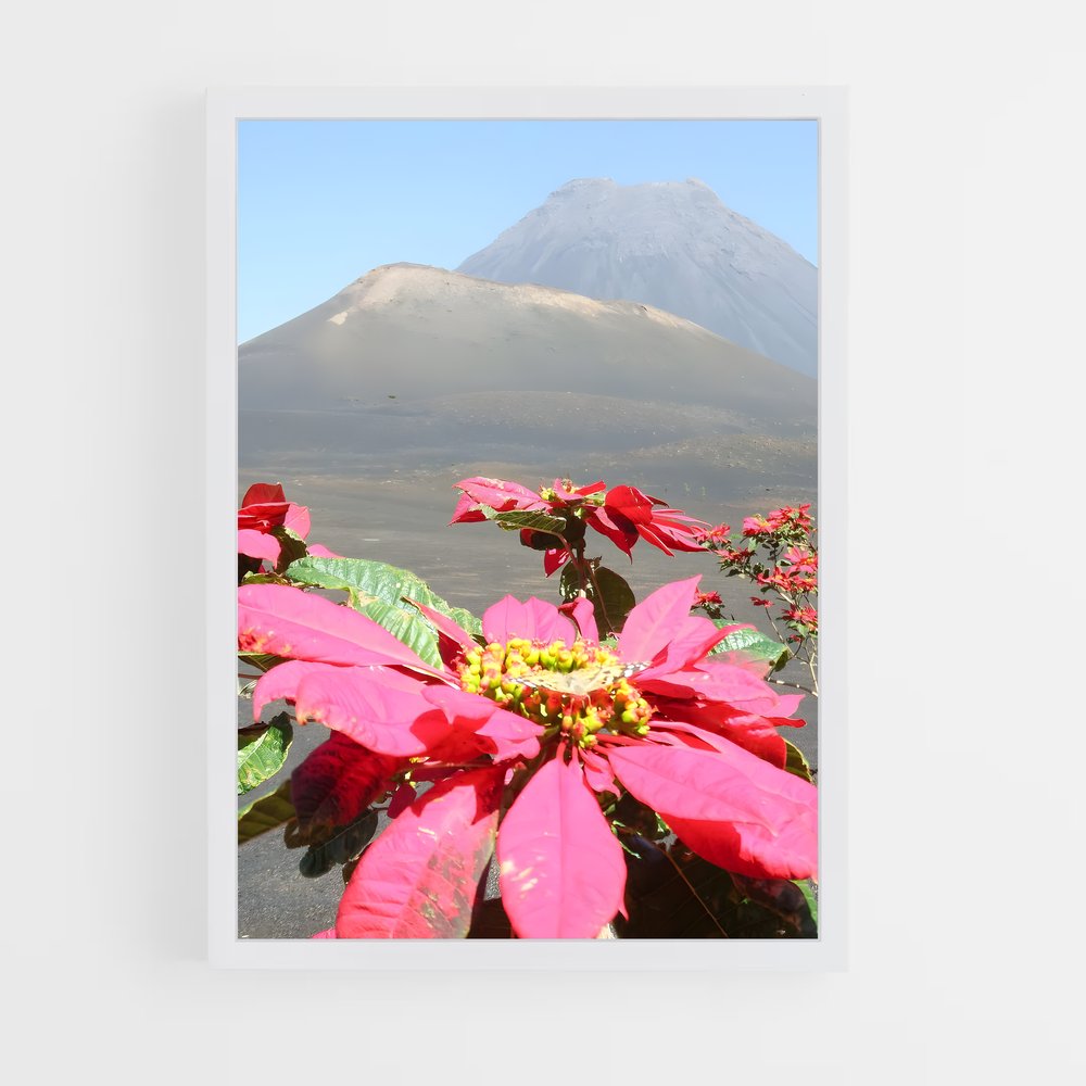 ap-pico do fogo-3 cadre Blanc