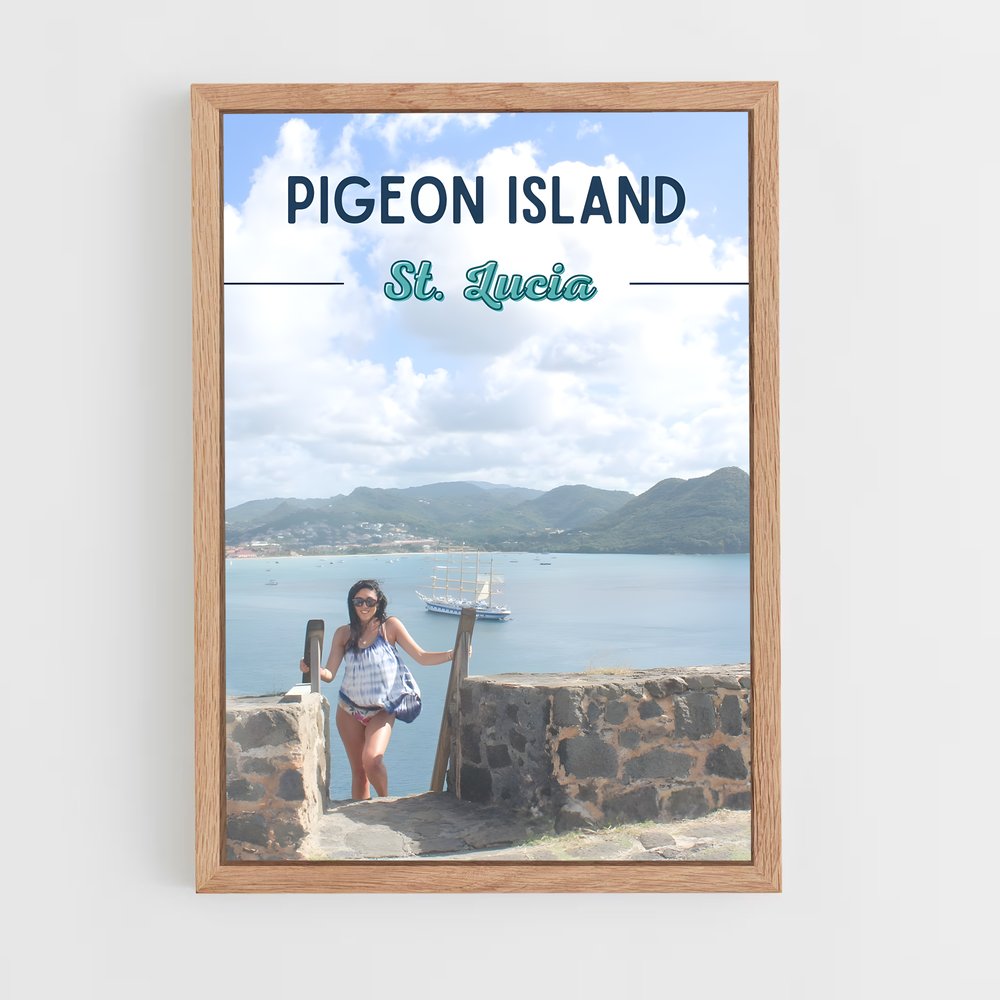 ap-pigeon island-3 cadre Bois clair