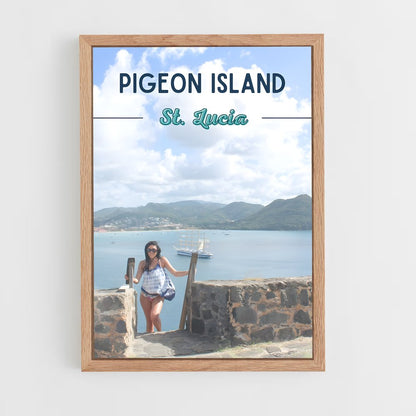 ap-pigeon island-3 cadre Bois clair