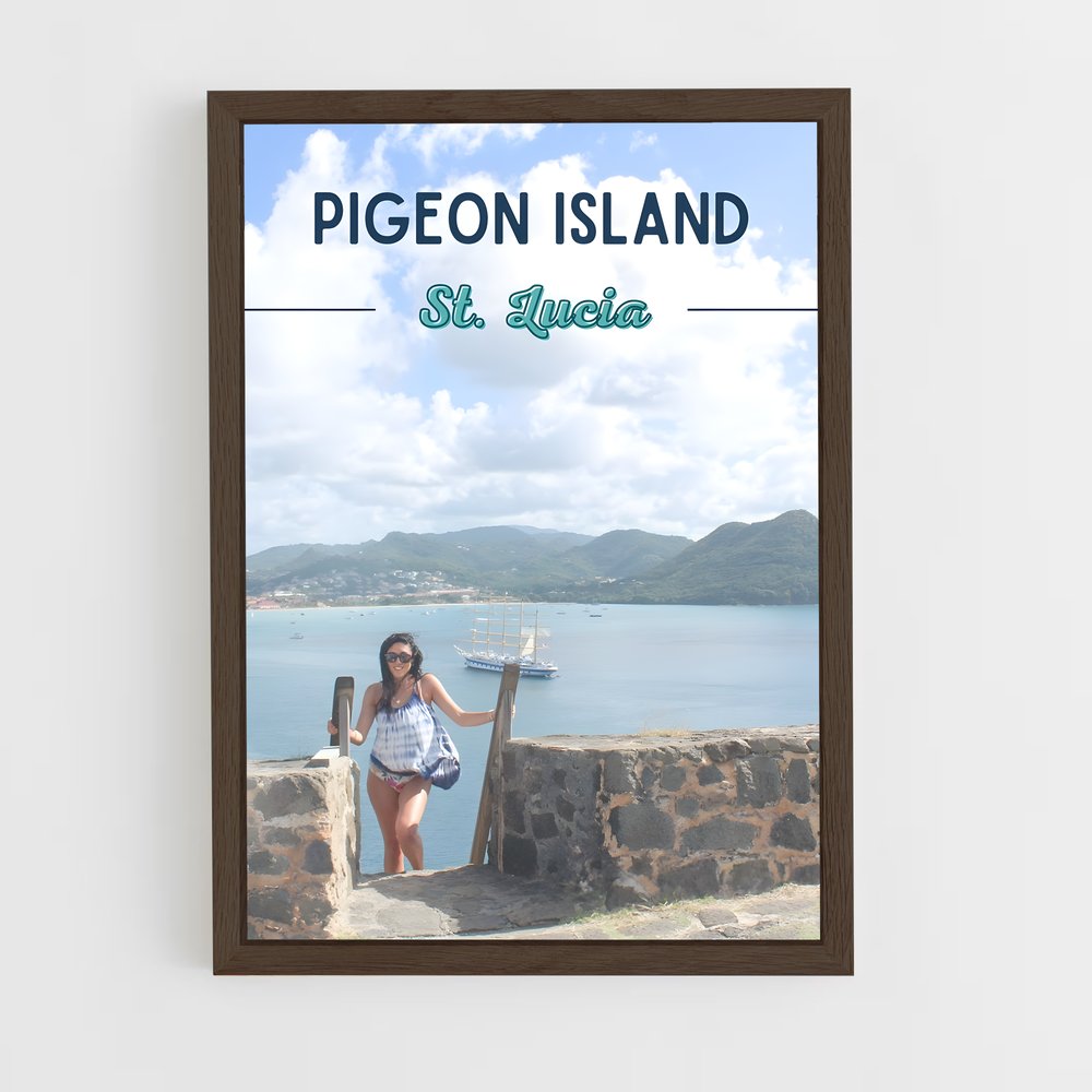 ap-pigeon island-3 cadre Bois foncé