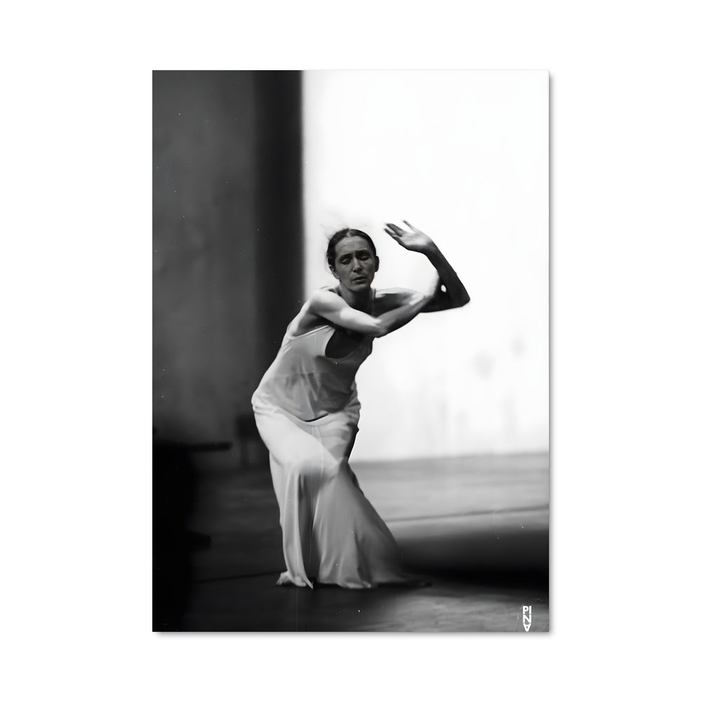Poster Pina bausch 65845